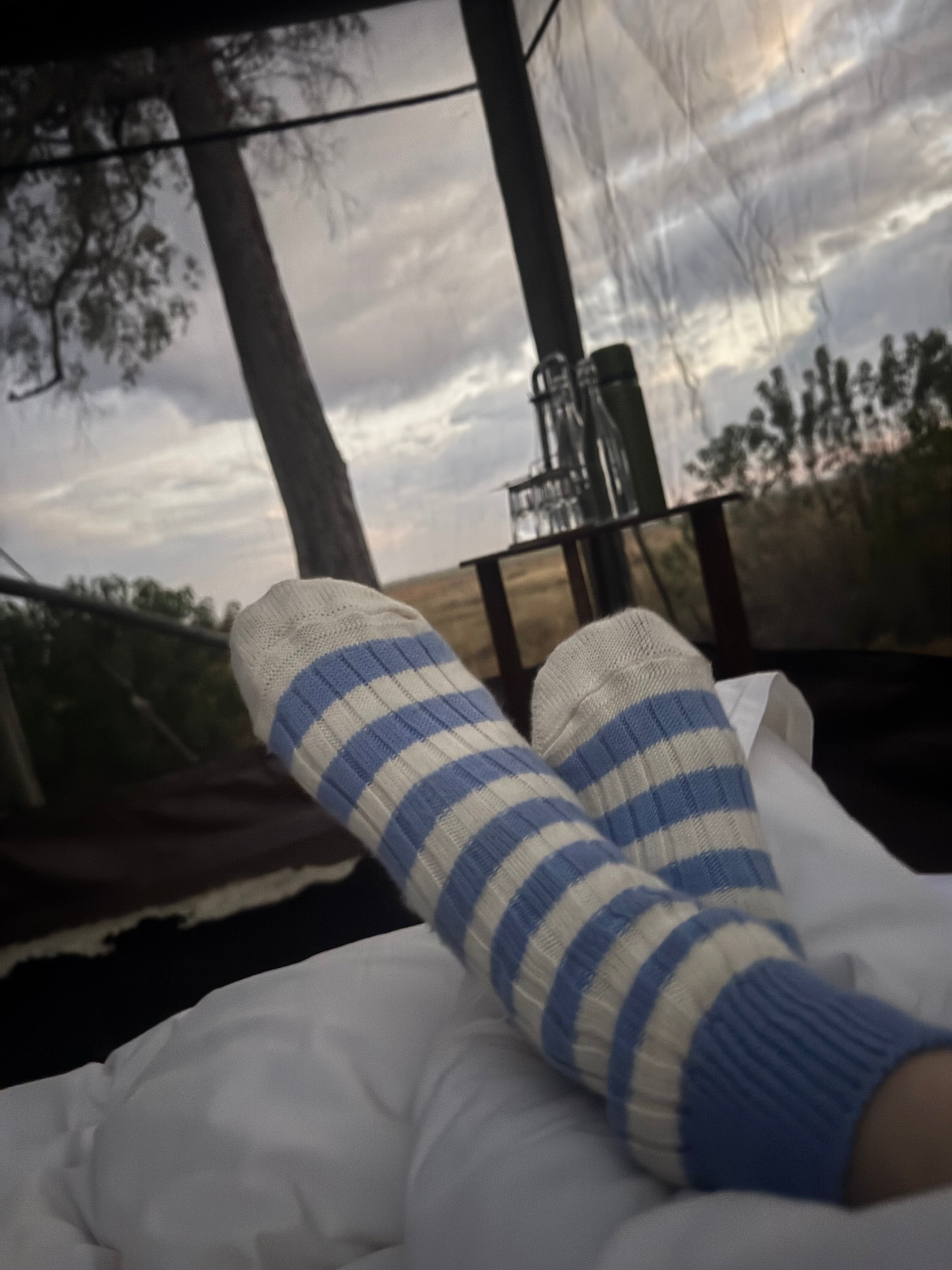 Peggy - Wild Oat / China Cotton Sock